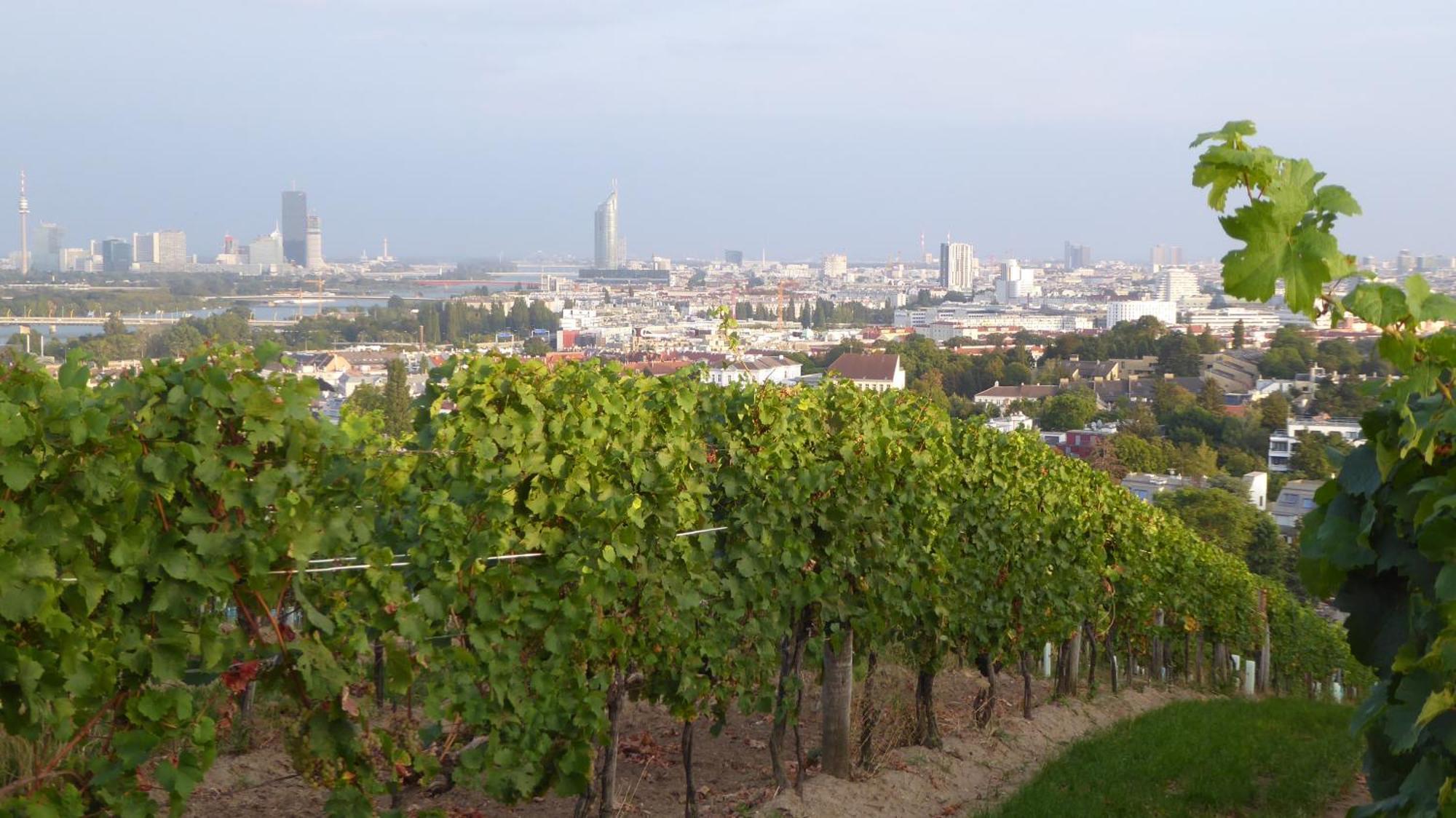 Wohnen Im Schoensten Viertel Wiens Esterno foto